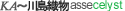 �쓇�D�� asse celyst